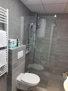 a bathroom with a toilet and a glass shower at Apartman ZID in Smederevska Palanka