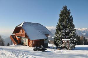 a log cabin in the snow with a tree at Apartmaji Srnca in Cerkno