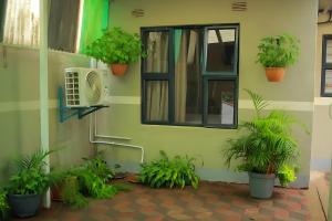 a building with plants in front of a window at Broadhurst Homestay in Gaborone