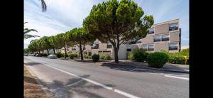 サン・シプリアン・プラージュにあるLe perroquetの並木と建物のある通り