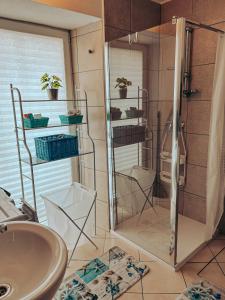 a bathroom with a shower and a sink at Apartments Ivanović in Idrija +26 photos