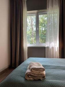 a blanket laying on a bed in front of a window at 4 winds Zephyrus in Palanga