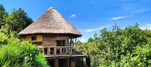 a hut with a thatched roof in the forest at Agandi Uganda Eco-lodges in Bwindi Impenetrable Park