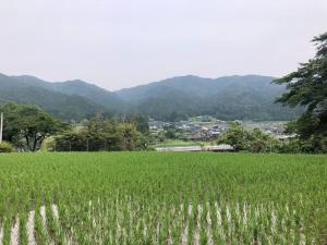 a field of green grass with mountains in the background at HANAMIDORI Oppara no Yado - Vacation STAY 67865v in Gujo