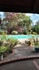 a swimming pool with some plants and trees at Finca en Chinauta, piscina, jacuzzi, BBQ in Boquerón