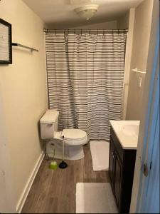 a bathroom with a toilet and a shower curtain at Stylish And Convenient With Wifi & Fenced Yard in Charlottesville