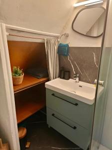 a bathroom with a sink and a mirror at Le Nid du Rez in Amiens +14 photos