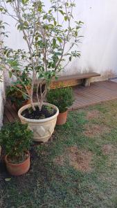 Gallery image of Edícula quarto suíte, confortável e bem localizado in Guaratinguetá