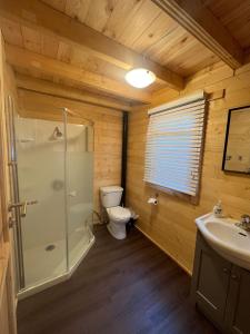 ein Badezimmer mit Dusche, Toilette und Waschbecken in der Unterkunft 2 Bedroom Beach Side Cottage On Muskoka Shores in Parry Sound