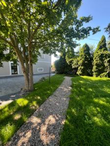 a tree in the grass next to a sidewalk at Apartament u Gustawa Klimta Frombork in Frombork