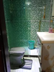 a bathroom with a toilet and a green tiled wall at Apartamento na zona oeste in Padre Miguel