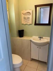 a bathroom with a toilet and a sink and a mirror at Wasaga Beach Loft 4 in Wasaga Beach +10 photos
