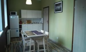 Kuchyň nebo kuchyňský kout v ubytování Hostel Imbir