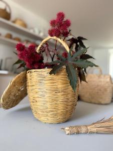 a basket with red flowers in it on a counter at Danna Portuguese Design House Porta 11 in Tavira +35 photos