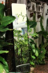 un espejo en un jardín con plantas en Homestay Cô Gái Việt, en Can Tho