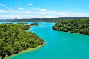 Příroda nedaleko apartmánu