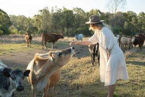 a woman in a hat is feeding a cow at Golden Hill Farmstay by Tiny Away in Rosedale