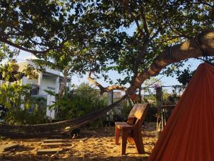 a hammock and a chair under a tree at Mer Bleue Homestay Phòng Family in Ke Ga