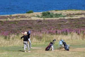 a group of people playing golf with a dog at Cottage With 400 M To The Water And The Marina in Østerby Havn