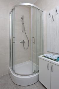 eine Dusche mit Glaskabine im Bad in der Unterkunft Holiday house with a parking space Jakov Polje, Novi Vinodolski - 24824 in Klenovica