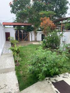 SalangoにあるVilla Tunasの植物のある庭園