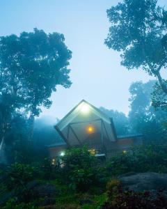 a small house in the middle of a forest at Roley Stone in Pīrmed +15 photos