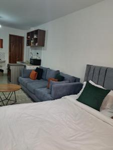 内罗毕Cozy Studio bnb in Kasarani Seasons, Nairobi的客厅配有床和蓝色沙发