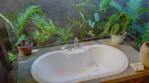 SegantengにあるPerwira Bungalows 1 bedroomの鉢植えのバスルーム(白い洗面台付)