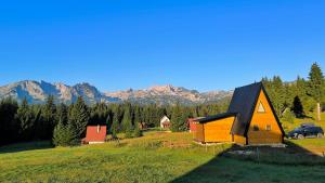 a barn in a field with mountains in the background at Vila Vida in Žabljak