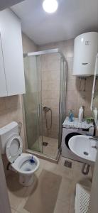 a bathroom with a shower and a toilet and a sink at Apartman Nadja2 in Tivat