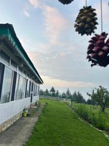 Gallery image of Mountain Bliss Homestay in Khajjiar 