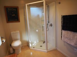 a shower stall in a bathroom with a toilet at Dover Terrace in Kaikoura