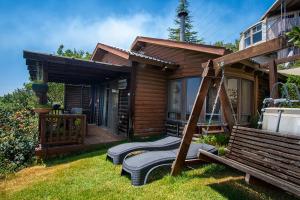 埃米瑞姆甘哈姆拉钦山林小屋的小木屋设有1个带秋千的门廊