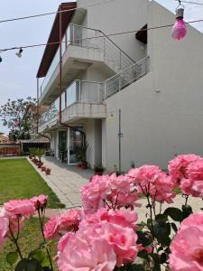 a bunch of pink flowers in front of a building at Casa BEYAZ in Mangalia