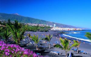 a beach with palm trees and people on the beach at Fantastico 4 - with large private terrace, free parking, air conditioning, BBQ in Puerto de la Cruz