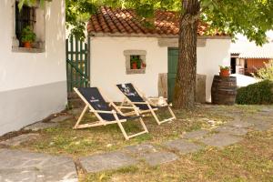 two lawn chairs sitting next to a tree at Kraška hiša Škrla in Divača