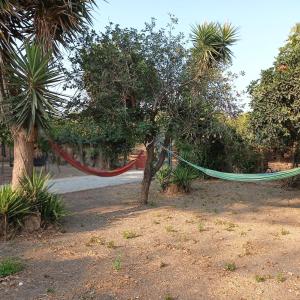 Foto sihtkohas Amaliás asuva majutusasutuse Plane Tree Cottage for Nature Lovers- Free RV & Campervan Parking galeriist