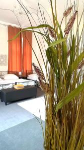 a potted plant in a room with beds at Nr 10 Modernes helles Ferienzimmer für vier Personen familienfreundlich mit gemeinsamer Dusche in Annaberg-Buchholz