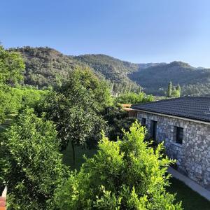 a view of a house with mountains in the background at Casa Itkı in Ortaca