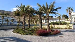 a group of palm trees in a parking lot at SUNNY home in Finestrat