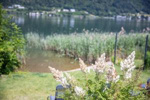 Φωτογραφία από το άλμπουμ του Seecamping Plörz - Harald Lauritsch GmbH σε Landskron