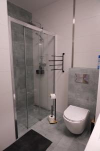 un bagno con wc e doccia in vetro di Lawendowy Apartament Kąty a Kąty Rybackie Altre 11 foto