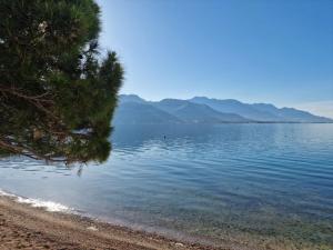a view of a body of water with a beach at Boka Garden in Bijela