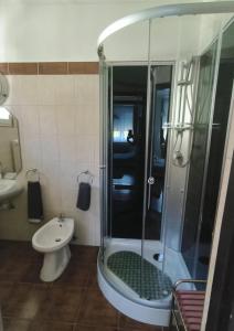 a bathroom with a shower and a toilet and a sink at Erika Apartman in Tihany +36 photos