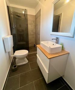 Un baño con inodoro, lavabo y ducha. en Fažana INN, en Fažana