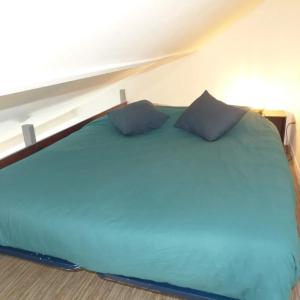a bed with two blue pillows on top of it at Appartement cosy à Amiens avec jardin in Amiens