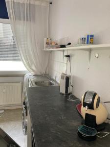 a kitchen with a counter top with a blender on it at Romantisches ganzes Apartment Parkplatz Waschmaschine Kamin Terrasse Garten, Grill und Küche in Duisburg +4 photos