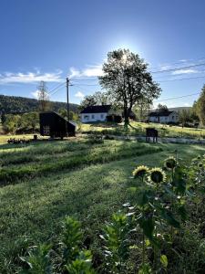 Příroda nedaleko vily