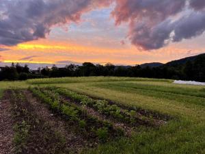 Příroda nedaleko vily