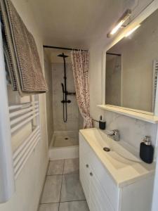 a bathroom with a sink and a shower at Appartement coquet Le Boulou in Le Boulou